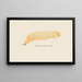 Entomologie Aquarell Pl067 - George Hudson — gerahmtes Bild an der Wand