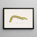 Entomologie Aquarell Pl071 - George Hudson — gerahmtes Bild an der Wand