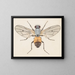 Aquarell der Entomologie Pl079 - George Hudson — gerahmtes Bild an der Wand