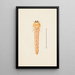 Aquarell entomologisch Pl086 - George Hudson — gerahmtes Bild an der Wand