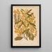 Dictionnaire pratique d'horticulture Pl01 - George Nicholson — gerahmtes Bild an der Wand