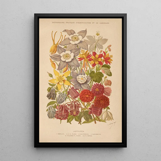 George Nicholson - Dictionnaire pratique dhorticulture Pl05.webp