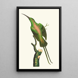 George Shaw - THE SHINING CREEPER.webp