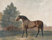 Enclume - George Stubbs — Ansicht des Kunstwerks