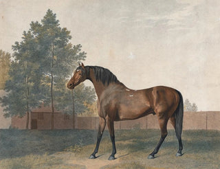Enclume - George Stubbs — Ansicht des Kunstwerks