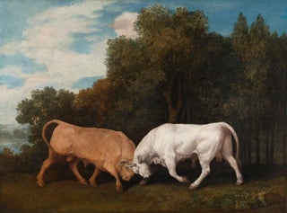 Kampf der Stiere - George Stubbs — Ansicht des Kunstwerks