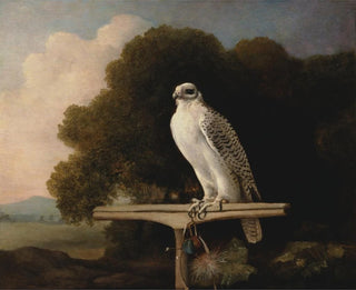 Faucon du Groenland - George Stubbs — Ansicht des Kunstwerks