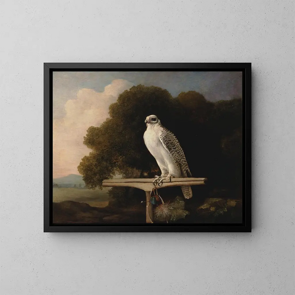 Faucon du Groenland - George Stubbs — gerahmtes Bild an der Wand