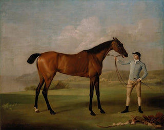 George Stubbs - Molly Longlegs with her Jockey.webp