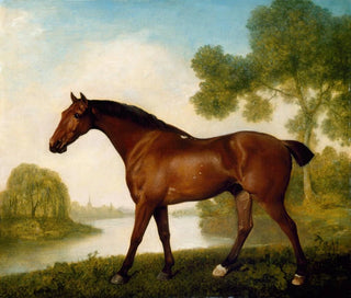Ein Fallenjäger - George Stubbs — Ansicht des Kunstwerks
