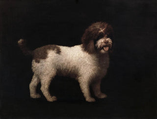 Spaniel d'eau - George Stubbs — Ansicht des Kunstwerks