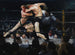 Hirsch bei Sharkey's - George Wesley Bellows — Ansicht des Kunstwerks
