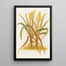 Anthericum Hookeri - Georgina Burne Hetley — gerahmtes Bild an der Wand