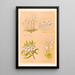 Gnaphalium bellidioides Gnaphalium grandiceps - Georgina Burne Hetley — gerahmtes Bild an der Wand