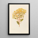 Senecio perdicioides - Georgina Burne Hetley — gerahmtes Bild an der Wand
