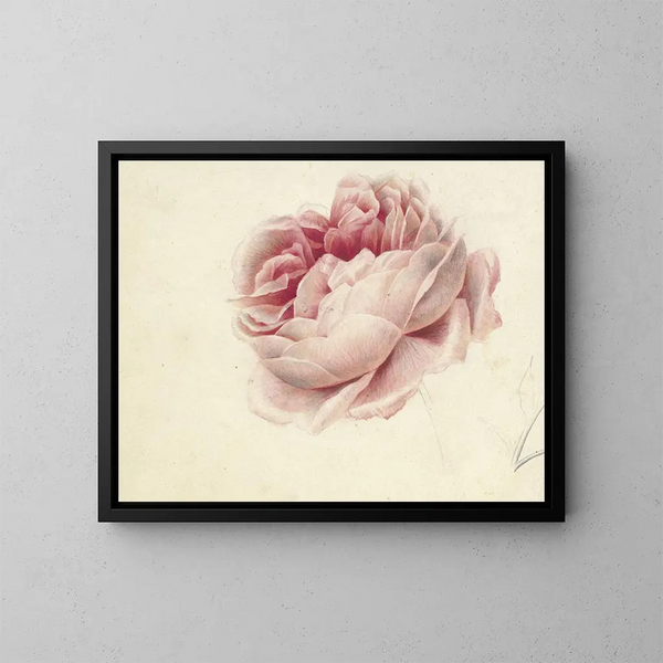Rosen Rosen - Georgius Jacobus Johannes van Os — gerahmtes Bild an der Wand