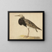Ruff in aufrechter Position - Gerardus van Veen — gerahmtes Bild an der Wand
