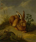 Ein Hase unter den Pflanzen und Kräutern - Deutsche Schule — Ansicht des Kunstwerks
