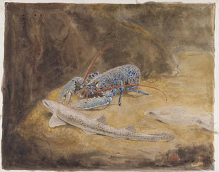 Aquarium mit drei Fischen aus der Nordsee: Hummer, Hundshai und Flunder - Gerrit Willem Dijsselhof — Ansicht des Kunstwerks