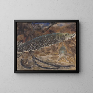 Zwei Hechte in einem Aquarium, seitlich und frontal gesehen - Gerrit Willem Dijsselhof — gerahmtes Bild an der Wand
