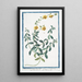 Blumen der Sonne - Giorgio Bonelli — gerahmtes Bild an der Wand