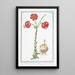 Lilium purpureo sanguineum flore reflexo Ricci di Dama Lys - Giorgio Bonelli — gerahmtes Bild an der Wand