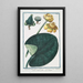 Nymphaea major Nenufari gialli e Ninfea gialla Nénuphar - Giorgio Bonelli — gerahmtes Bild an der Wand