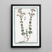 Origanum sylvestre Cunila bubula Plinii Regano e Origano Origan - Giorgio Bonelli — gerahmtes Bild an der Wand