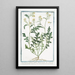 Sisymbrium palustre rampant à feuille de cresson ou Roquette des marais à petite fleur jaune Moutarde des haies - Giorgio Bonelli — gerahmtes Bild an der Wand