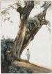 Alte Bäume in der römischen Landschaft - Giovanni Costa — Ansicht des Kunstwerks