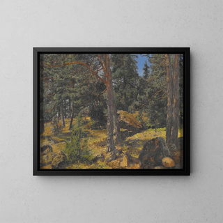 Gottfrid Samuel Nickolaus Kallstenis - A Fir Bank.webp