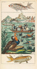 Naturgeschichte 27 Bände - Gottlieb Tobias Wilhelm — Ansicht des Kunstwerks