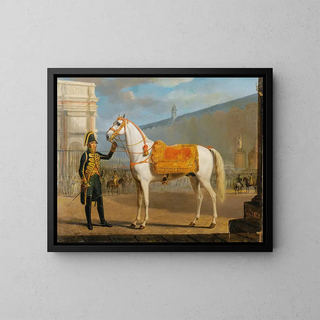Das Pferd von Napoleon - Gottlob Alexander Sauerweid — gerahmtes Bild an der Wand