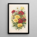 Bon comme l'or - Gray Litho Co — gerahmtes Bild an der Wand