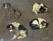 Vier Studien eines Hundes - Guillaume Anne van der Brugghen — Ansicht des Kunstwerks