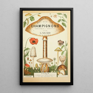 Guillaume Sicard - Histoire naturelle des champignons Pl01.webp