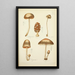 Naturgeschichte der Pilze Pl40 - Guillaume Sicard — gerahmtes Bild an der Wand