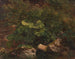 Studien der Pflanzen - Gustav Friedrich Papperitz — Ansicht des Kunstwerks