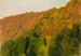 Herbstwald im Brental - Gustav Kampmann — Ansicht des Kunstwerks