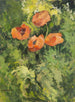 Mohnblumen in der Natur - Gustav Macoun — Ansicht des Kunstwerks