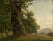 Baumstudie - Gustav Osterroht — Ansicht des Kunstwerks
