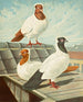 C. vestale - Gustav Prütz — Ansicht des Kunstwerks