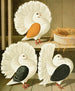 C. laticaudae - Gustav Prütz — Ansicht des Kunstwerks