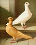 Türkisches Gemälde - Gustav Prütz — Ansicht des Kunstwerks