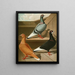 Culbuteur à pieds lisses, à front plat et à long bec II - Gustav Prütz — gerahmtes Bild an der Wand
