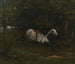 Pferd in Bewegung - Gustave Courbet — Ansicht des Kunstwerks