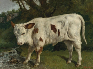Das weiße Kalb - Gustave Courbet — Ansicht des Kunstwerks