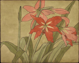 Amaryllis - Hannah Borger Overbeck — Ansicht des Kunstwerks