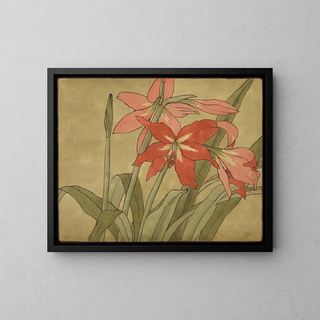 Amaryllis - Hannah Borger Overbeck — gerahmtes Bild an der Wand