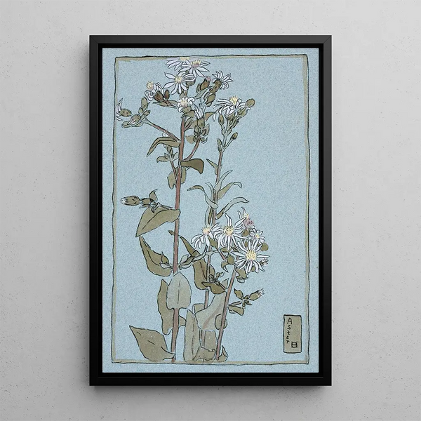Aster auf grünem Hintergrund - Hannah Borger Overbeck — gerahmtes Bild an der Wand